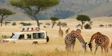 Tanzania Safari Itineraries