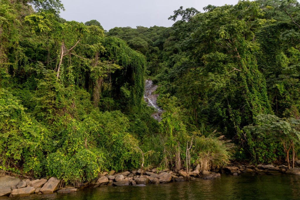 When to go to the Mahale Mountains